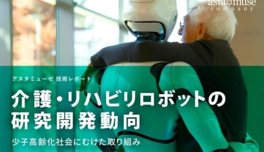 介護・リハビリロボットの研究開発動向：少子高齢化社会にむけた取り組み