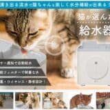 ?猫が選んだ給水器!!【2025年10月21日11:00～】クラウドファンディングスタートします！！！