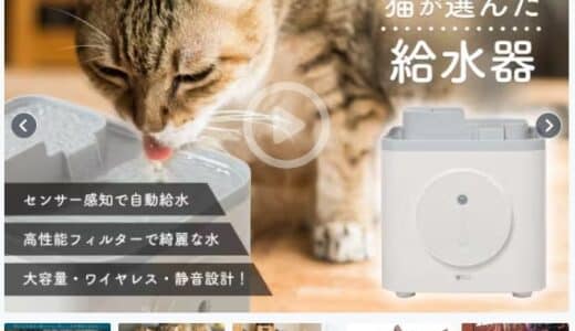 ?猫が選んだ給水器!!【2024年10月21日11:00～】クラウドファンディングスタートします！！！