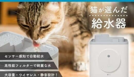 保護猫たちが自ら選んだ！？「猫が選んだ、猫が喜ぶ、猫のための給水器」支援金の一部は保護猫活動に役立てられる、クラウドファンディング開始！