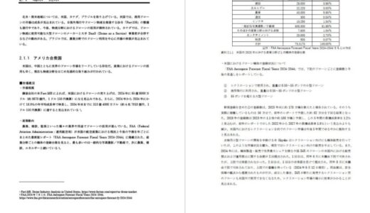 世界におけるドローン市場の動向を徹底解説！『ドローンビジネス調査報告書2024【海外動向編】』10月31日発売～22か国の市場概況や産業、規制の動向、31社の動向を網羅～