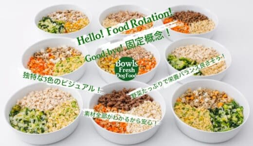 販売開始から1年で累計販売37万食達成！リピート率93％※1を記録、Bowls Fresh Dog Food（ボウルズフレッシュドッグフード）がD2Cフレッシュドッグフード市場で急成長中