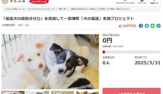 北海道別海町とさとふる、「保護犬の殺処分ゼロ」を目指し迷子犬の一時的な飼育環境を提供するため、寄付受け付けを開始