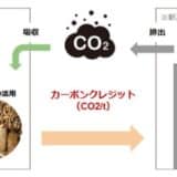 林業スタートアップForestFolks、プレシードでの資金調達をスパークルから実施