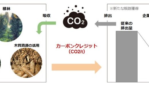 林業スタートアップForestFolks、プレシードでの資金調達をスパークルから実施