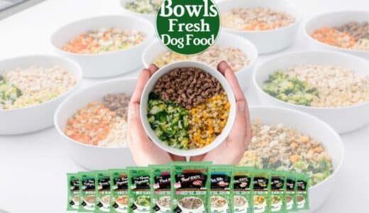 「あえてひと手間」のミールキット型ドッグフードが大ヒット/Bowls Fresh Dog Food