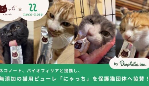 「猫の日」直前！保護猫の推し活ネコノート、バイオフィリアと提携し、無添加の猫用ピューレ「にゃっち」を保護猫団体へ協賛！