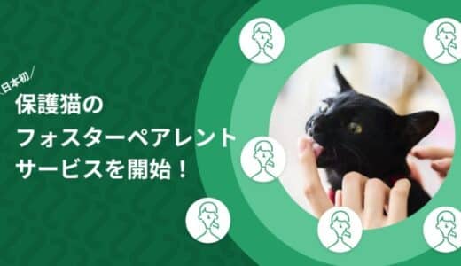 誰でも猫を飼える時代に！？保護猫の推し活「ネコノート」が、日本初の保護猫フォスターペアレント（養親）マッチングサービス「ネコノートペアレント」をスタート！クラウドファンディングも同時にスタートします！