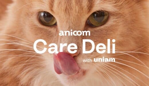 ペット保険会社グループのアニコムとねこ特化フード事業のuniam、愛猫の健康をサポートする猫用ウェットフード「anicom Care Deli with uniam」を共同開発