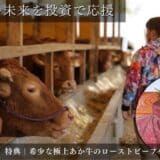 希少なあか牛と未来の食文化に投資！「阿蘇で育てる 一期一会のあか牛ファンド」募集開始