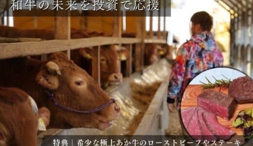 希少なあか牛と未来の食文化に投資！「阿蘇で育てる 一期一会のあか牛ファンド」募集開始