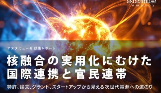 核融合の実用化にむけた国際連帯と官民連帯：特許、論文、グラント、スタートアップから見える次世代電源への道のり