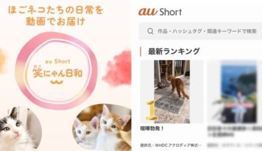 当社完全子会社WHDCアクロディアの保護猫応援プロジェクト「笑にゃん日和」がKDDI「au Short」最新ランキングで第1位を獲得～保護猫活動の構造的課題に挑む支援モデルを実証～