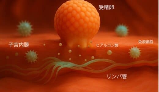 KIIがリンパ管再生による不妊治療を開発するLYMPHOGENIXに出資