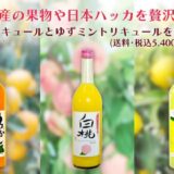 倉敷市「コネクトローカルプロジェクト」受託決定