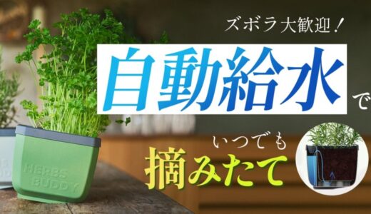 【クラウドファンディング開始】家庭菜園をもっと簡単に楽しく！自動潅水システム搭載のプランター「HERBS BUDDY」日本初上陸プロジェクト！