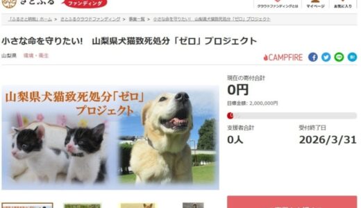 さとふる、山梨県の犬猫致死処分ゼロの継続を目指す動物愛護事業支援のため、寄付受け付けを開始