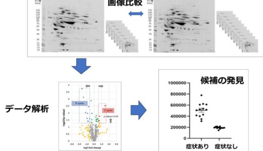 東京科学大学認定ベンチャー称号授与企業aiwell株式会社、ホットフラッシュや気分変動などの更年期症状に関与するバイオマーカーを発見。臨床試験を目指す。