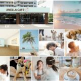 1頭の世界を永遠に変える——福祉型保護犬猫カフェ「ANELLA CAFE」運営の株式会社ANELLA Group（旧：株式会社DT）、シリーズAラウンドで1.55億円の調達、累計調達額は3.4億円に