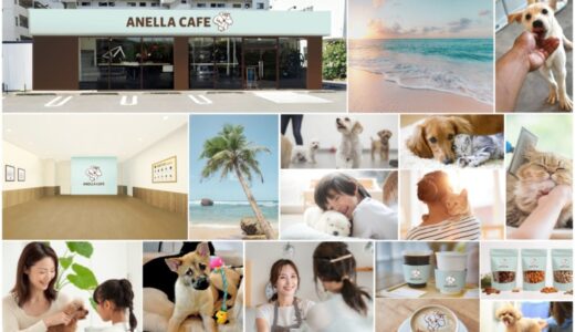 1頭の世界を永遠に変える——福祉型保護犬猫カフェ「ANELLA CAFE」運営の株式会社ANELLA Group（旧：株式会社DT）、シリーズAラウンドで1.55億円の調達、累計調達額は3.4億円に