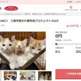 香川県三豊市とさとふる、地域猫活動(※)の継続を通して人と猫が共生できるまちを目指し、寄付受け付けを開始