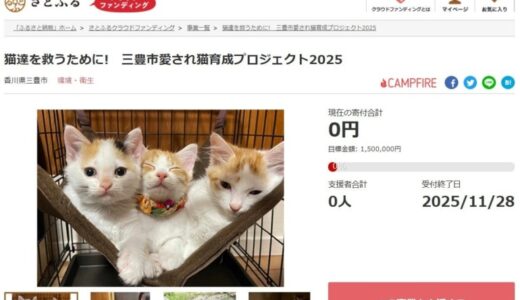 香川県三豊市とさとふる、地域猫活動(※)の継続を通して人と猫が共生できるまちを目指し、寄付受け付けを開始