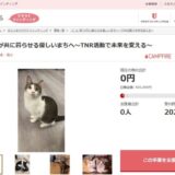 和歌山県橋本市とさとふる、TNR活動を推進し人と猫が共に暮らす環境を整えるため寄付受け付けを開始