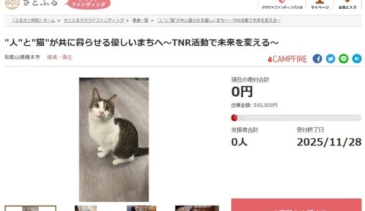和歌山県橋本市とさとふる、TNR活動を推進し人と猫が共に暮らす環境を整えるため寄付受け付けを開始