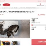 千葉県横芝光町とさとふる、飼い主のいない猫の補助事業を通じ、人と猫が共生できる町づくりを目指して寄付受け付けを開始