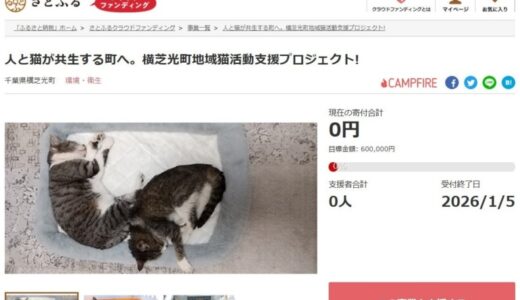 千葉県横芝光町とさとふる、飼い主のいない猫の補助事業を通じ、人と猫が共生できる町づくりを目指して寄付受け付けを開始