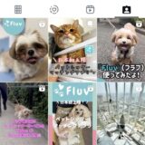 「ペットシッターマッチングプラットフォーム」Fluv、サービス開始2ヶ月で成長率10倍達成！