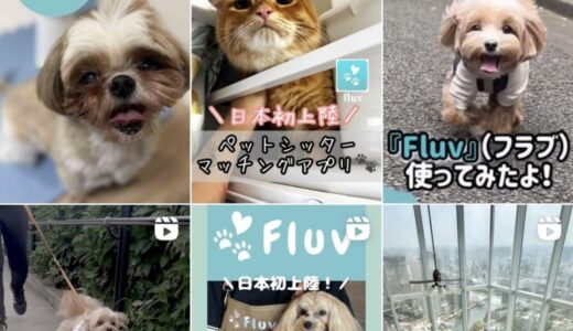 「ペットシッターマッチングプラットフォーム」Fluv、サービス開始2ヶ月で成長率10倍達成！