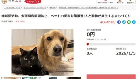 茨城県下妻市とさとふる、地域猫活動や多頭飼育問題などへの支援事業を通じ、人と動物が共生するまちづくりのため、寄付受け付けを開始
